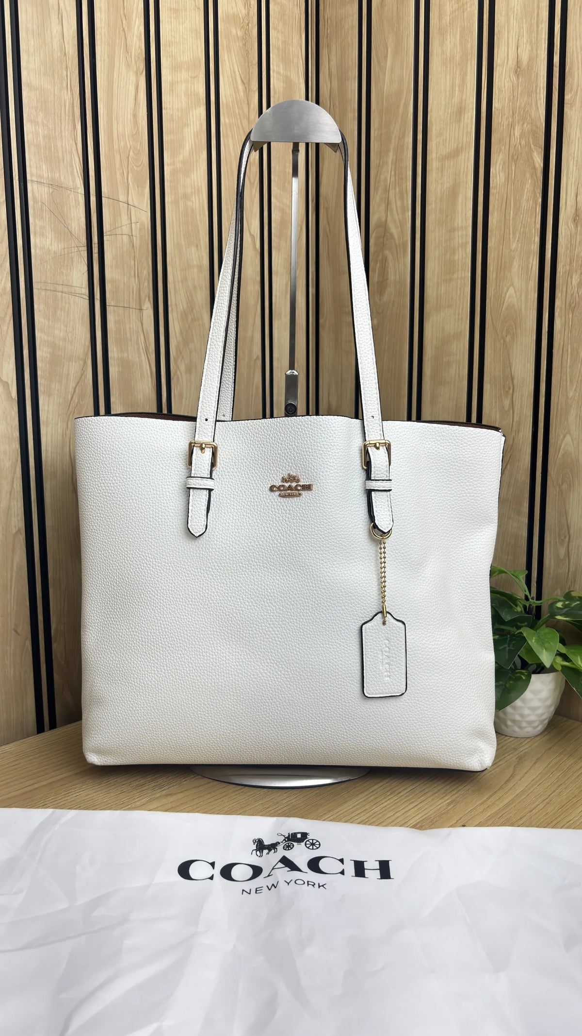 Coach Mollie Tote Bag 34