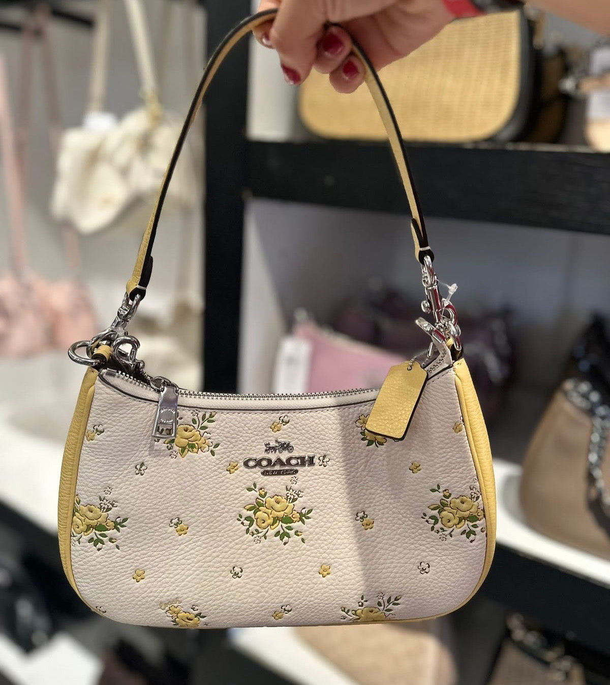 Coach Teri Bag with Brand Box- Same as Original