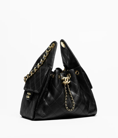 Chanel 25 Hobo Bag