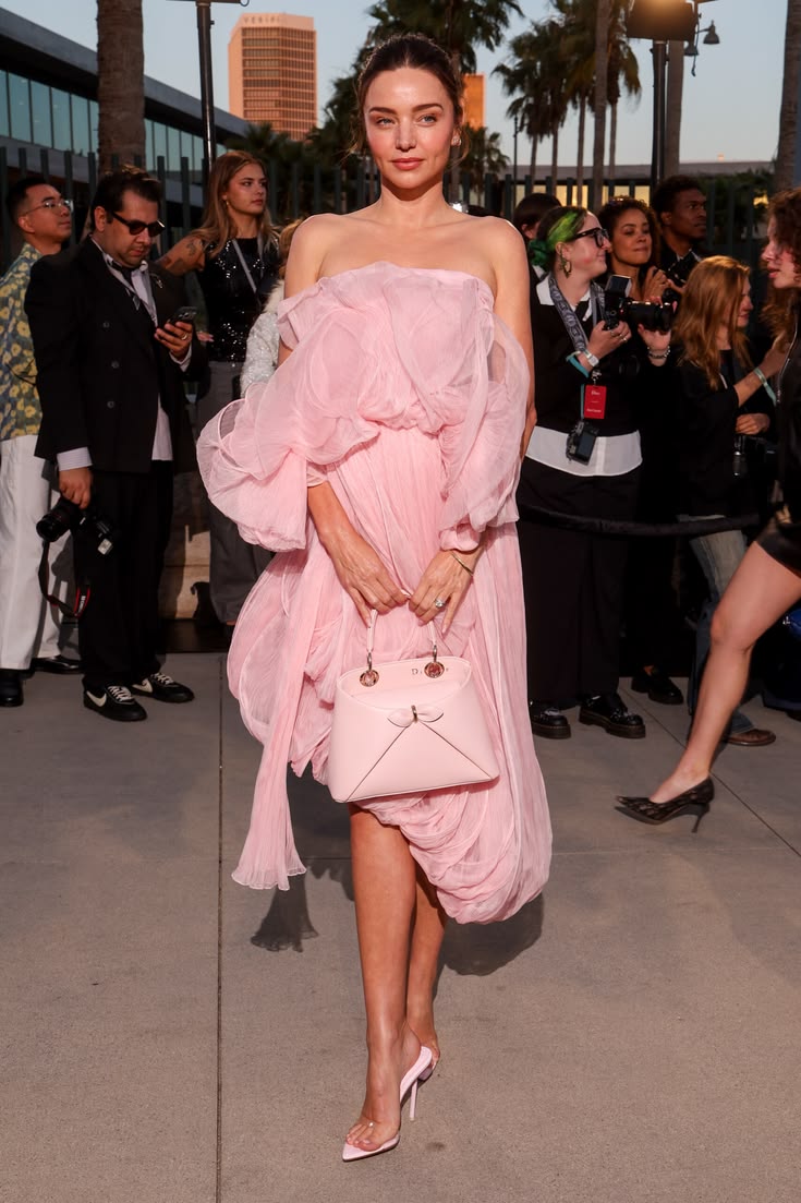 Dior La Cigale Bag