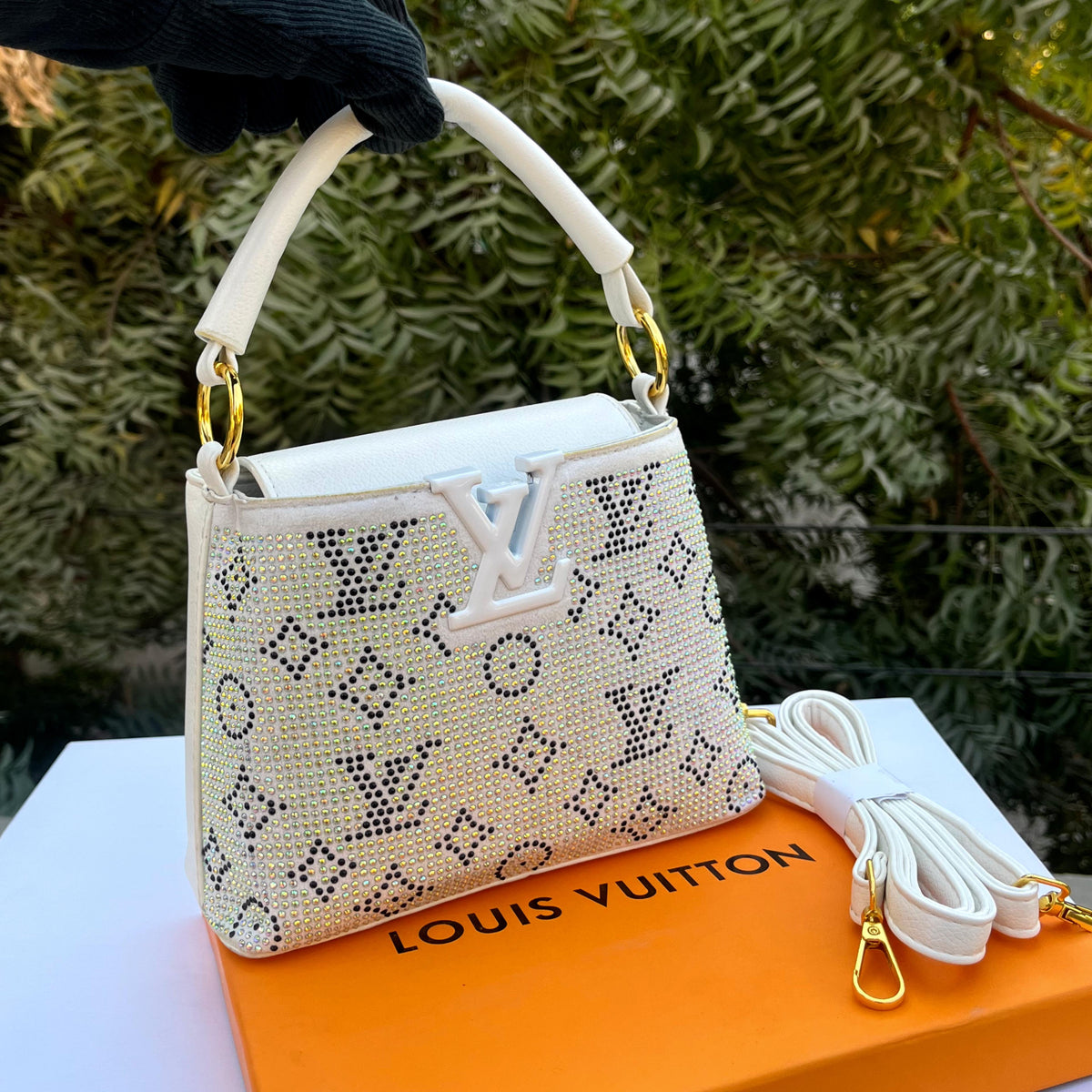 Louis Vuitton Capucines Mini | LV