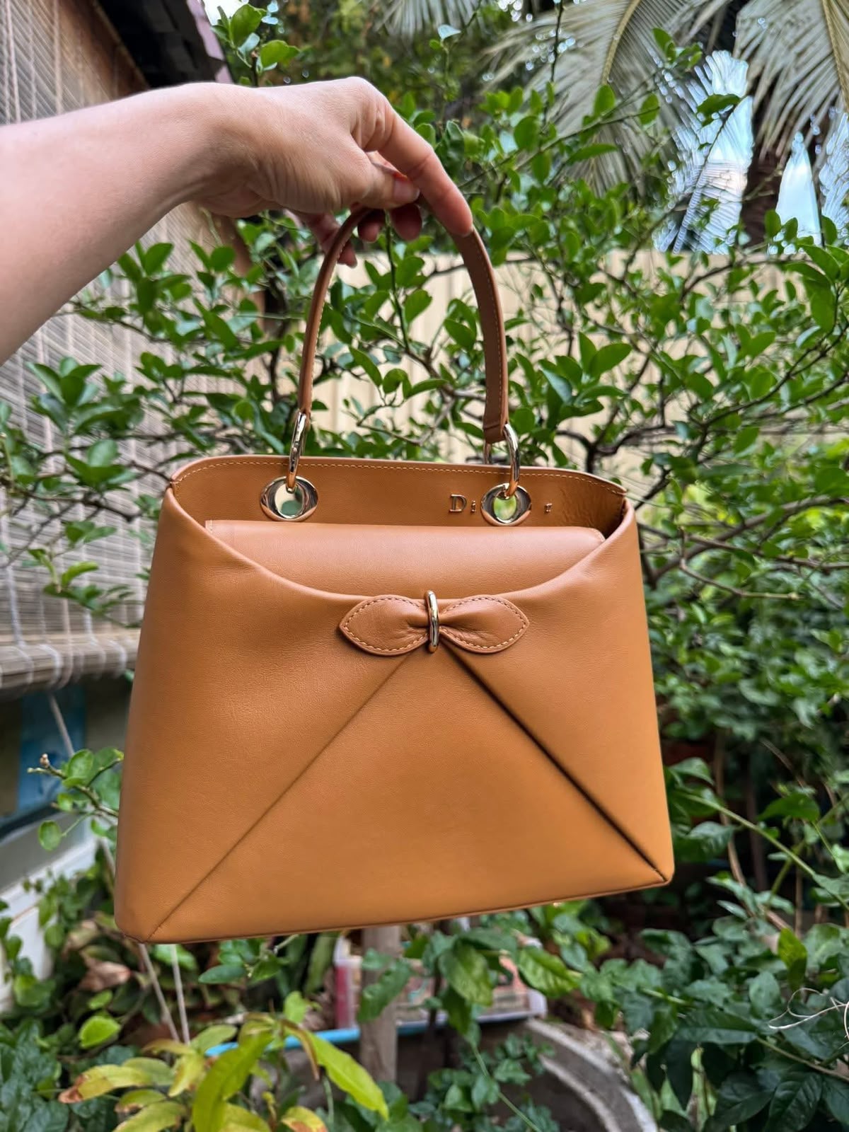 Dior La Cigale Bag