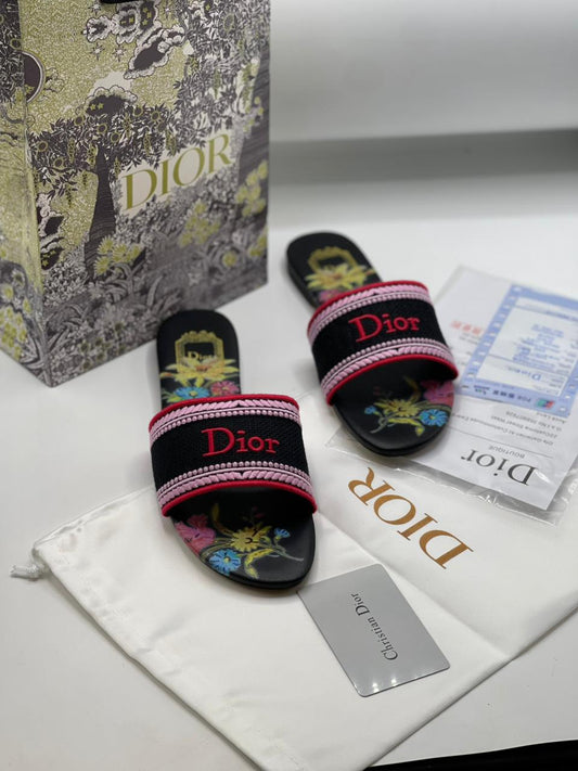 Christian Dior Dway Slides