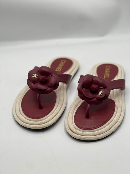 Chanel Camellia Flower Thongs