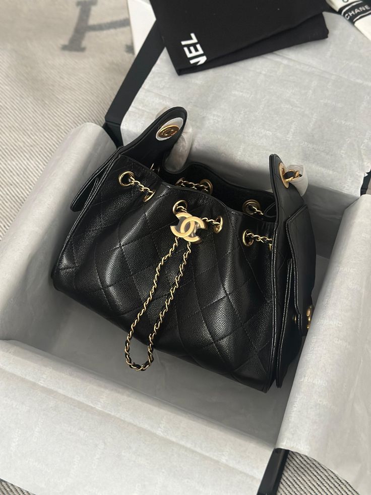 Chanel 25 Hobo Bag