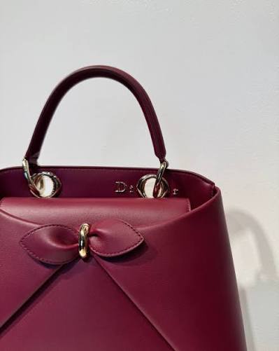 Dior La Cigale Bag
