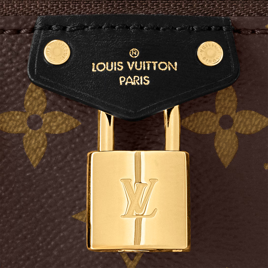 Louis Vuitton Vanity Chain Pouch | LV