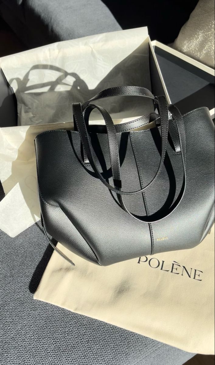 Polène Cyme Handbag with Pouch